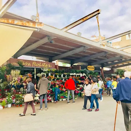 Plaza De Toros Alicante